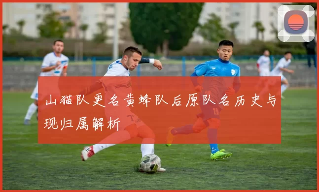 山猫队更名黄蜂队后原队名历史与现归属解析