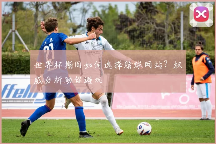 世界杯期间如何选择赌球网站?权威分析助你避坑