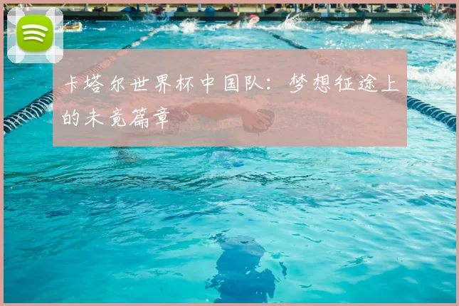 卡塔尔世界杯中国队:梦想征途上的未竟篇章