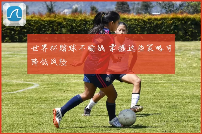 世界杯赌球不输钱 掌握这些策略可降低风险