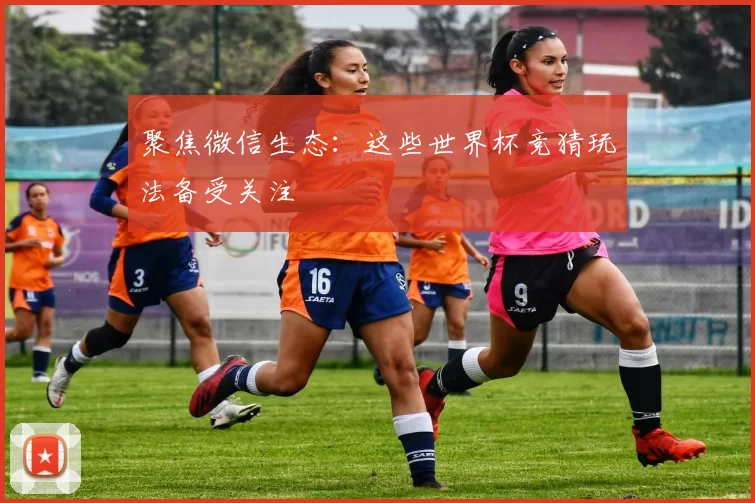 聚焦微信生态:这些世界杯竞猜玩法备受关注
