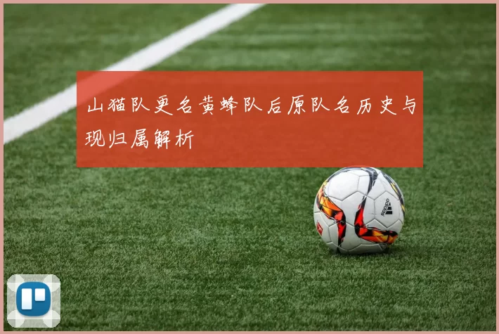 山猫队更名黄蜂队后原队名历史与现归属解析